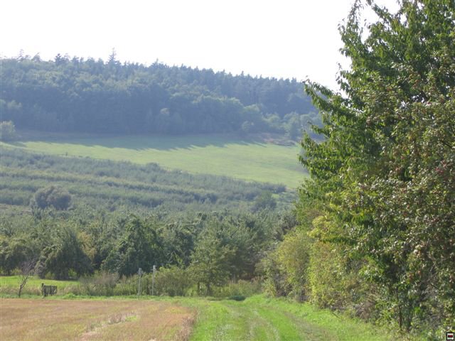 Troubelice 2006 076.jpg